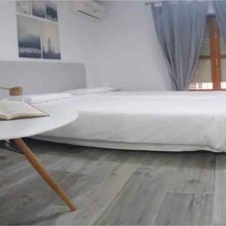 公寓 La Casa Del Potro By Ap 托萊多